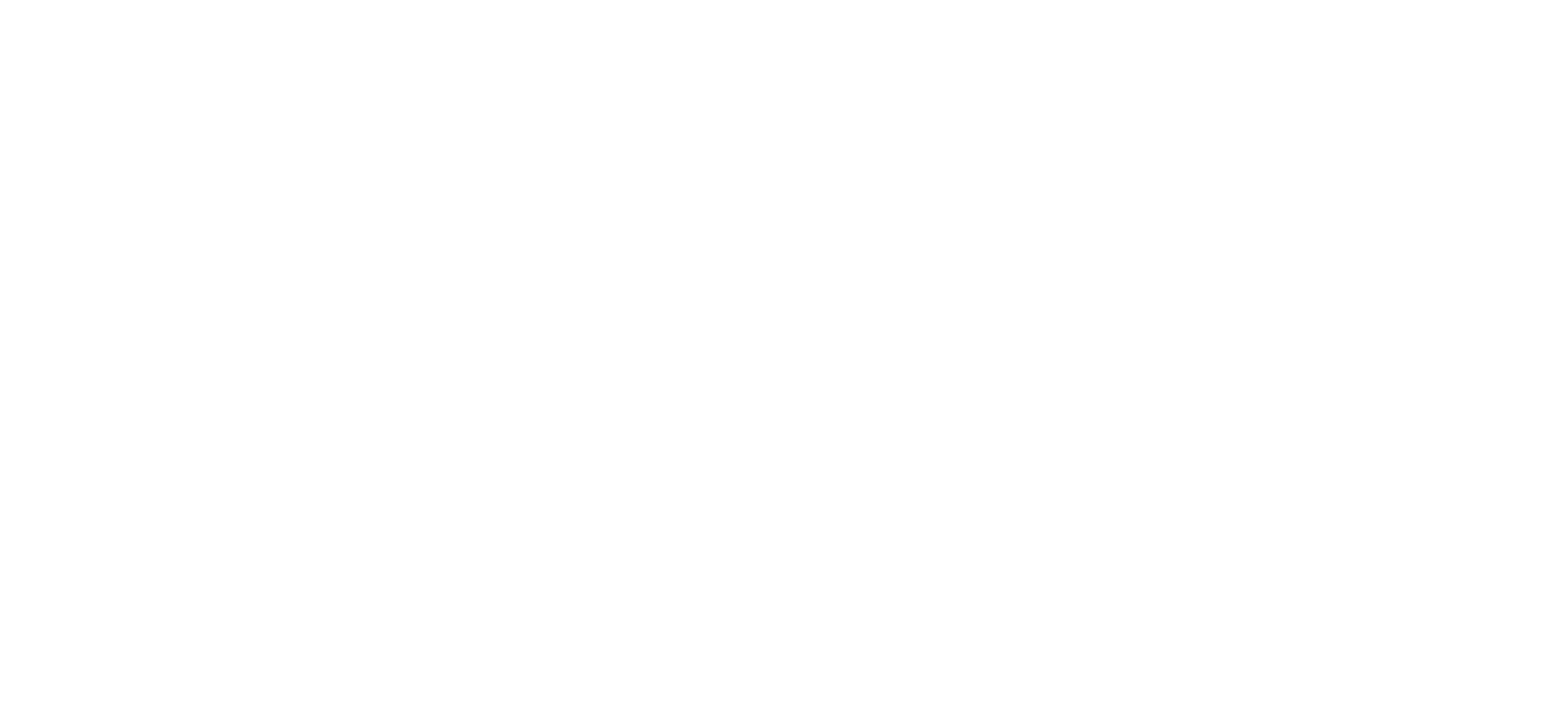 BGS technic